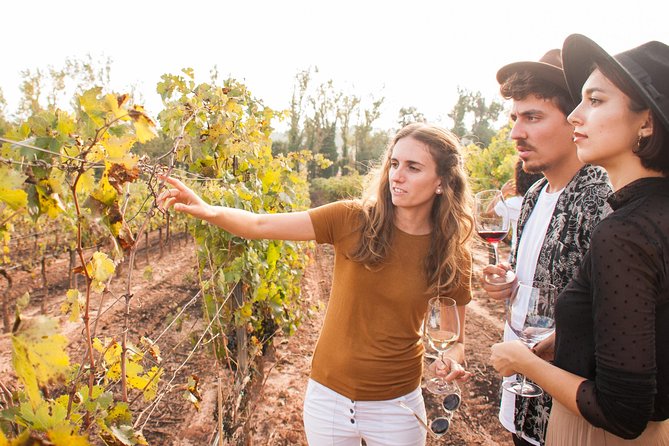 Montserrat & Cogwheel Train, Gourmet Wine Tasting & Tapas/Lunch - Wine tasting and castle views: what you actually get