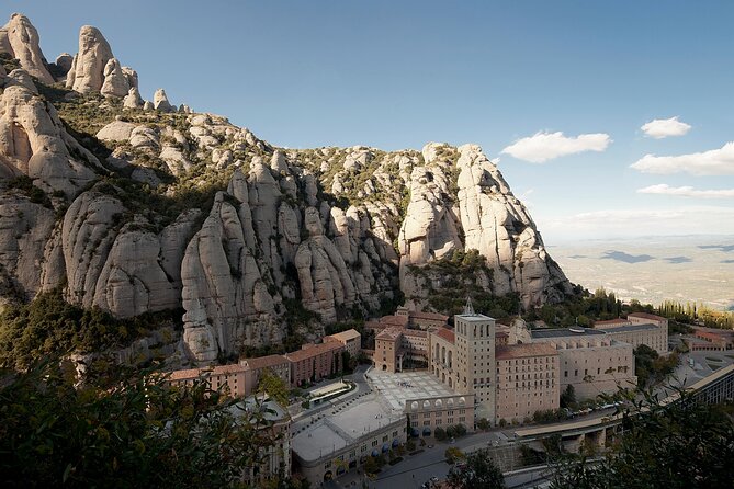 Montserrat Complete Guided Tour & The Boys Choir's Performance - The museum stop: art time that adds depth
