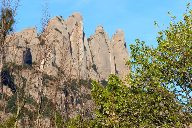 Montserrat Hiking Experience from Barcelona - The Abadia de Montserrat stop: monastery time that actually fits the hike