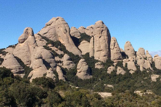 Montserrat Hiking Experience & Monastery Premium Small Group Tour - What makes this tour feel premium (not just “included tickets”)