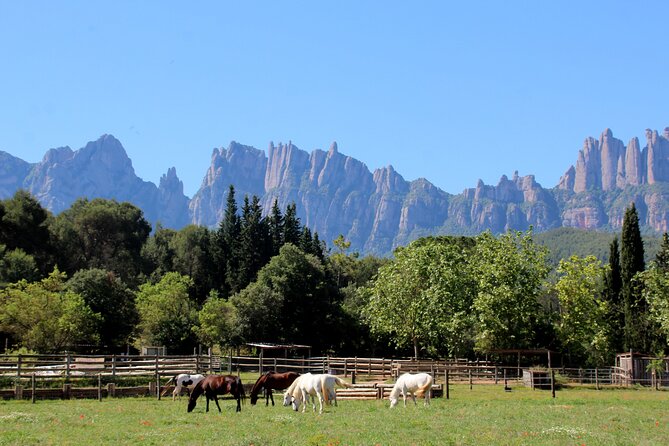 Montserrat Horseback Riding & Monastery – Small Group (Max 8) - Why this Montserrat trip feels different from a standard day tour