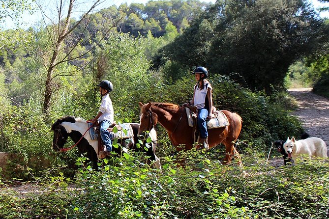 Montserrat Horseback Riding & Monastery – Small Group (Max 8) - Horseback riding on the Montserrat hills: what you can expect
