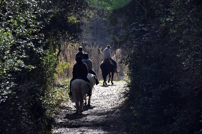 Montserrat Horseback Riding & Monastery – Small Group (Max 8) - Group size and guide quality: the real value check