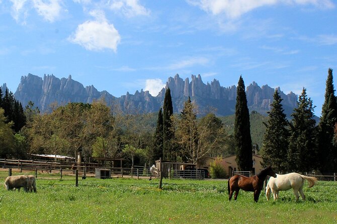 Montserrat Horseback Riding & Monastery – Small Group (Max 8) - The optional walk and viewpoints, for people who like fresh air