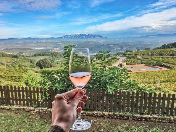 Montserrat Private Day Trip with Codorniu Cava Cellar Tasting - Private pickup from Barcelona, then straight into two different worlds