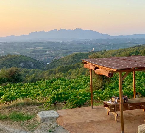 Montserrat Private Day Trip with Codorniu Cava Cellar Tasting - Price and value: where the money goes on a private day trip