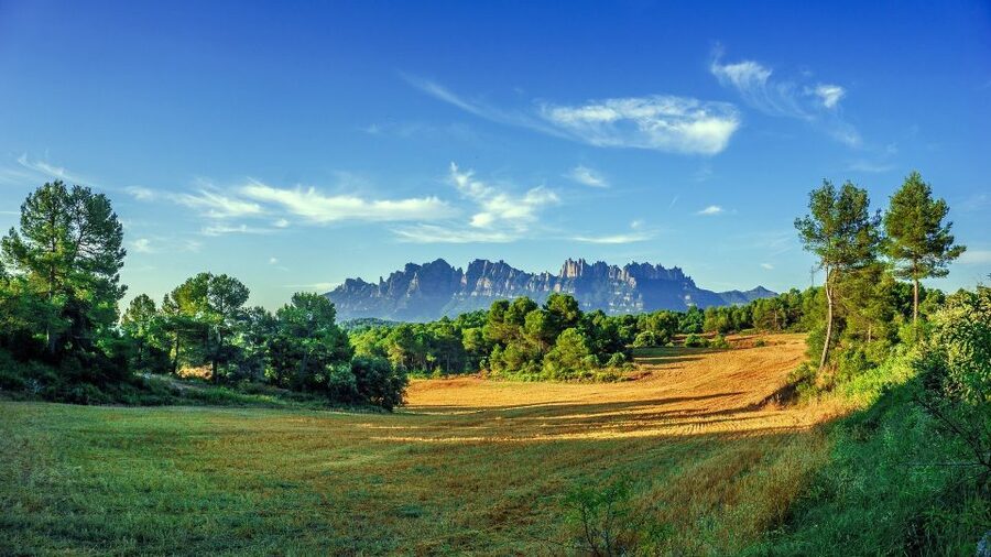 Montserrat: Private Half-Day Tour from Barcelona - Why Montserrat feels different from a typical day trip