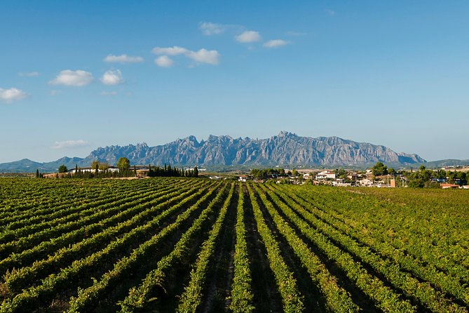 Montserrat,Vineyard, Wine Tasting Small Group Tour & Hotel Pickup - Montserrat Natural Park: 90 minutes that give you real views