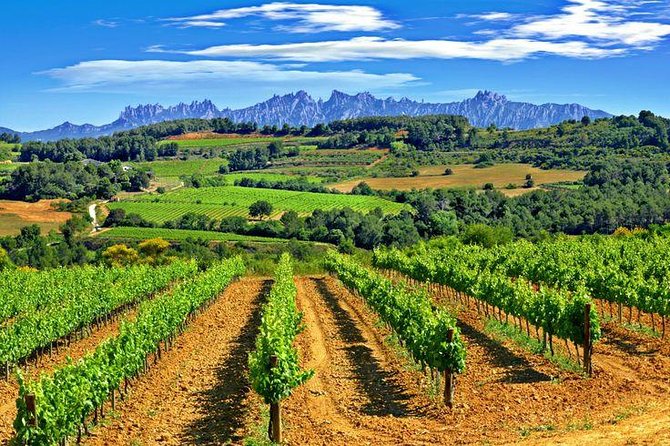 Montserrat,Vineyard, Wine Tasting Small Group Tour & Hotel Pickup - The monastery visit: the Basilica and the black Madonna