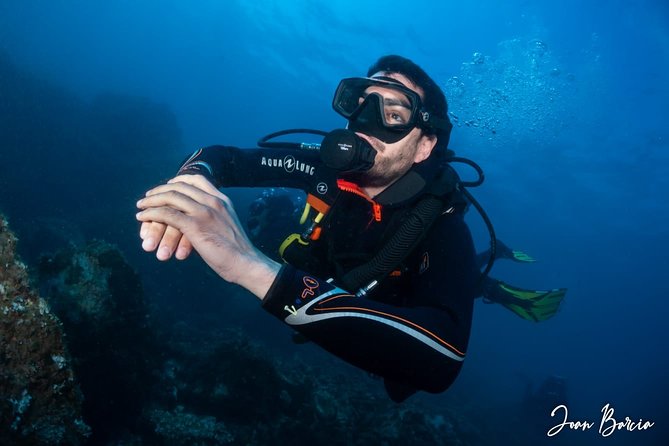 PADI Open Water Diver Course - Small group size with Gidive Center: the attention you actually feel