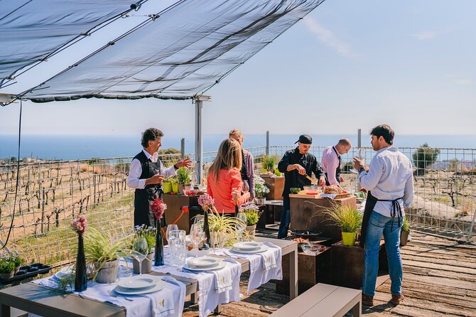 Paella Cooking Experience & Winery Tour from Barcelona - Price and Logistics: Does $89 Feel Fair?