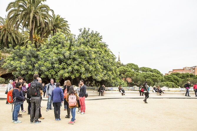 Park Guell Guided Tour with Skip the Line Ticket - Your guide and headsets, how it changes the whole visit