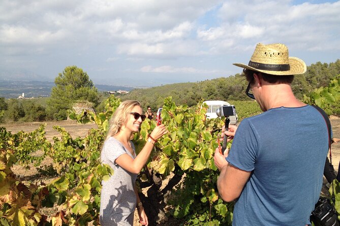 Penedes and Cava Winery Small Group Tour - Inside a 1385 Cellar: What You Learn About Cava and Corpinnat