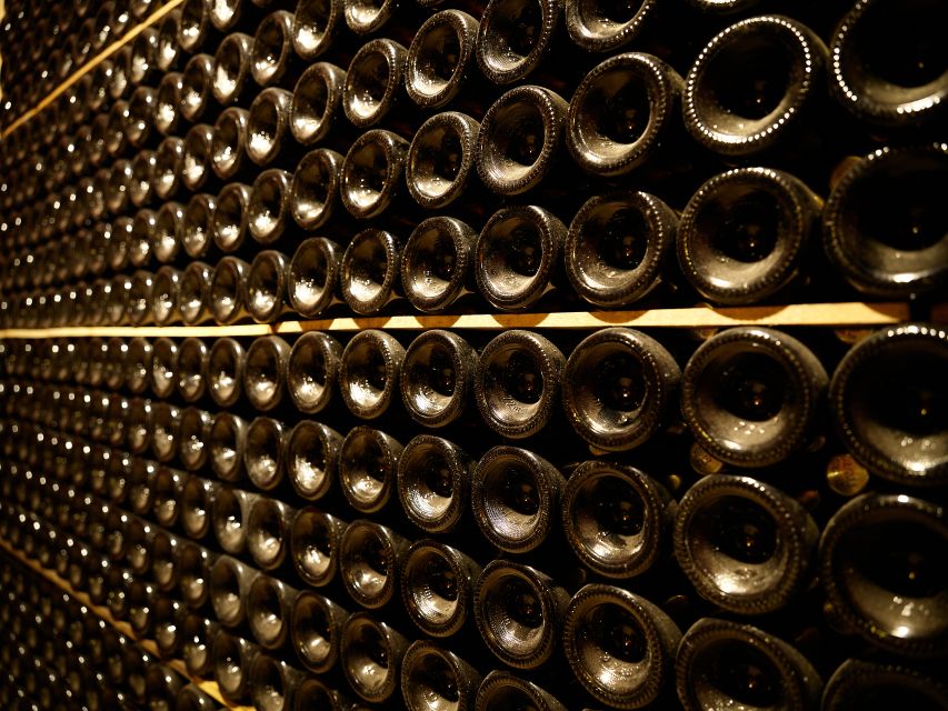 Penedès Vine to Wine: Personalized Cava taste&craft Workshop - Why this Penedès Cava workshop beats a city tasting