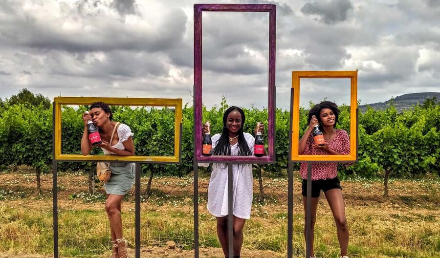 Penedès Vine to Wine: Personalized Cava taste&craft Workshop - Vineyard walk in the Penedès countryside