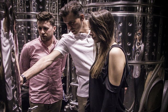 Penedes Wine & Cava Tasting & 4WD Vineyards Tour from Barcelona - Tastings and pairings: three wines, four cavas, and how to handle it