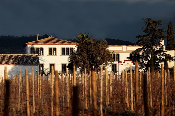 Penedes Wine & Cava Tasting & 4WD Vineyards Tour from Barcelona - Value: is $145.17 worth it from Barcelona?