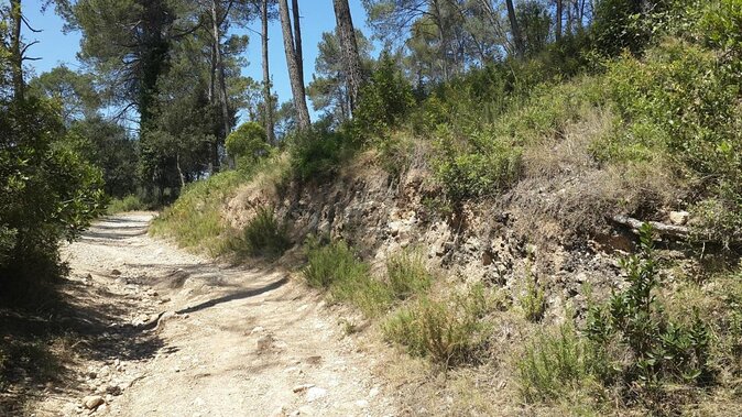 Photography route through the secret nature of Barcelona - Why This Vallvidrera Photography Walk Changes How You See Barcelona