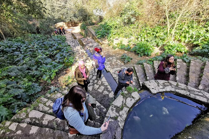 Photography route through the secret nature of Barcelona - Stop 2, Parc de Collserola for Quiet Views and Creative Texture Shots