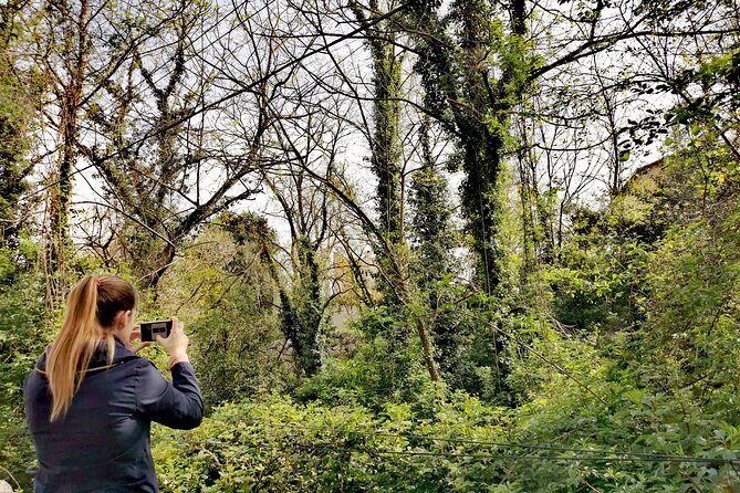 Photography route through the secret nature of Barcelona - Stop 4, Pantano de Vallvidrera, the Modernist Dam and the Turtle Colony