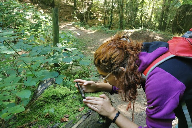Photography route through the secret nature of Barcelona - What Emili’s Style Feels Like on the Ground