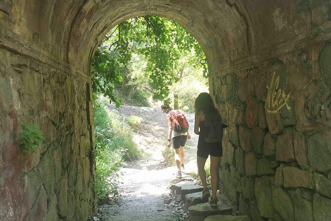 Photography route through the secret nature of Barcelona - Getting There From Plaça de Catalunya, Cafe Zurich Meeting Point