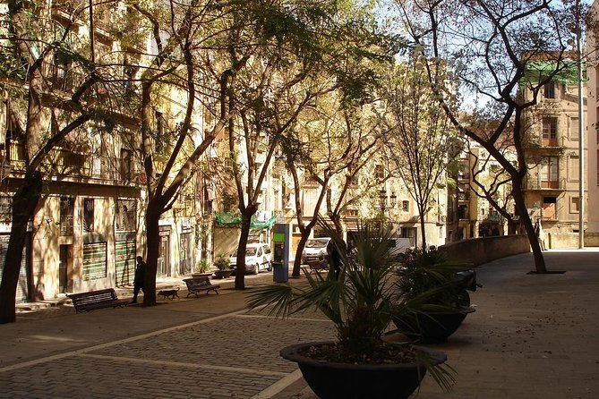 Picasso Museum & Private Walking Tour of Born or Gothic Quarter - Gothic Quarter Walking Stop: How Old Streets Become Understandable