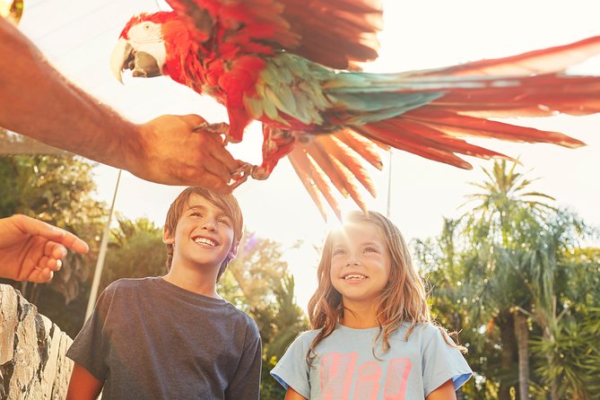 PortAventura Park Day Trip from Barcelona - Value and Price: What You Really Pay For