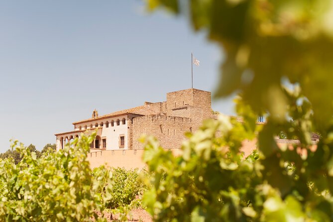 Premium Montserrat & Wine Full Day Tour from Barcelona - Getting from Barcelona to Montserrat without the stress