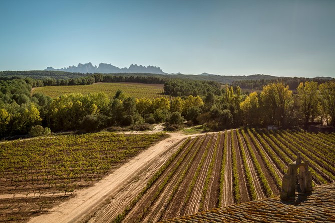 Premium Montserrat & Wine Full Day Tour from Barcelona - Price and value: what your $127.57 really buys