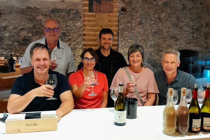Priorat tour to 3 small wineries and hotel pick-up - Key highlights at a glance