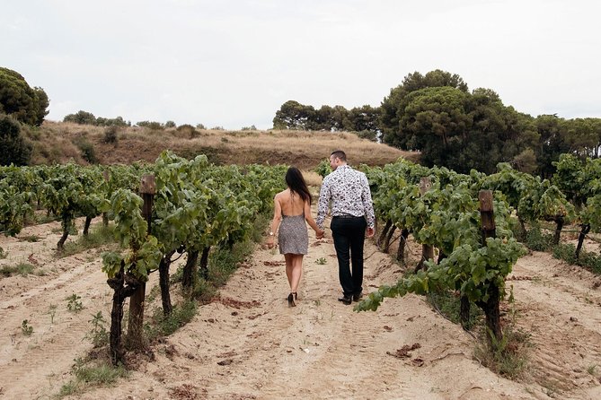 Private Breakfast Winery Experience - Private Wine Tasting Tour - What the tour feels like in real life: value, pacing, and guide attention