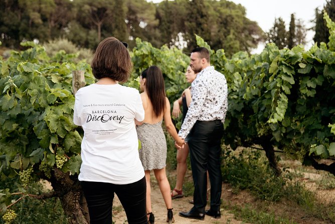 Private Breakfast Winery Experience - Private Wine Tasting Tour - Port of Masnou: where the coast changes the mood