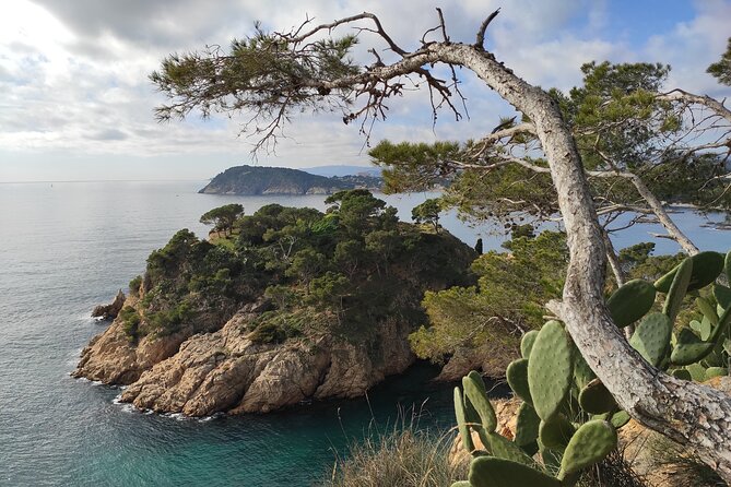 Private Costa Brava Hike and Snorkel from Barcelona with Lunch - Guide quality makes or breaks a coast hike