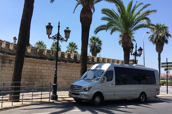 Private Customized Barcelona Tour by Mercedes VIP Bus and Personal Expert Guide - Mercat de la Boqueria: 20 minutes with a guide beats wandering
