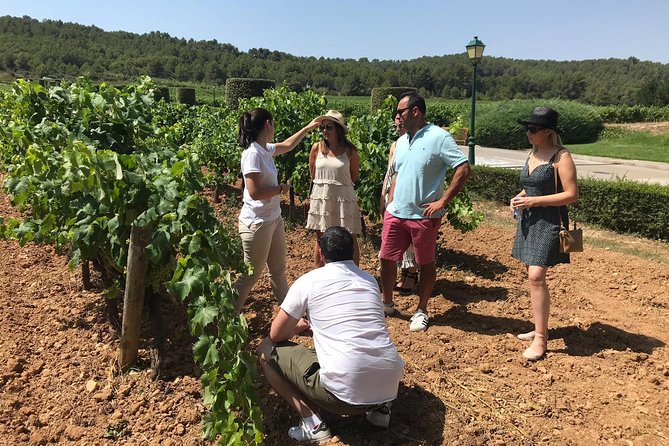Private Day Trip from Barcelona to Montserrat - What to plan for during the 8-hour day