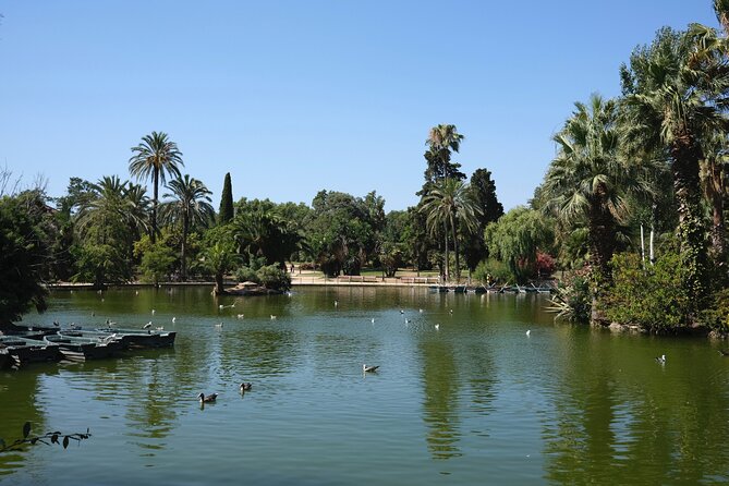 Private discovery bike tour of Barcelona - Cathedral square and the Gothic-Modernisme push on your bike