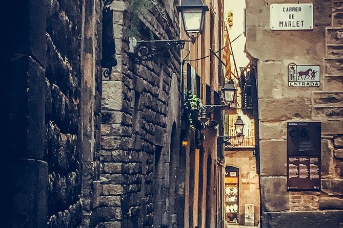 Private, guided shore excursion w/ chauffeured vehicle - Barri Gotic walk: from Roman walls to Sant Jaume square