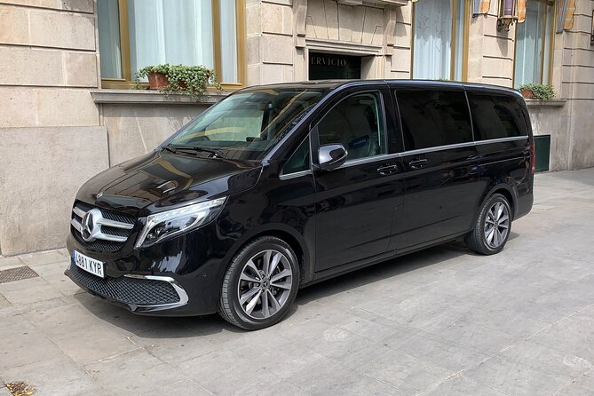 Private Half Day Tour in Monserrat with Driver - Abadia de Montserrat: the Black Virgin church visit