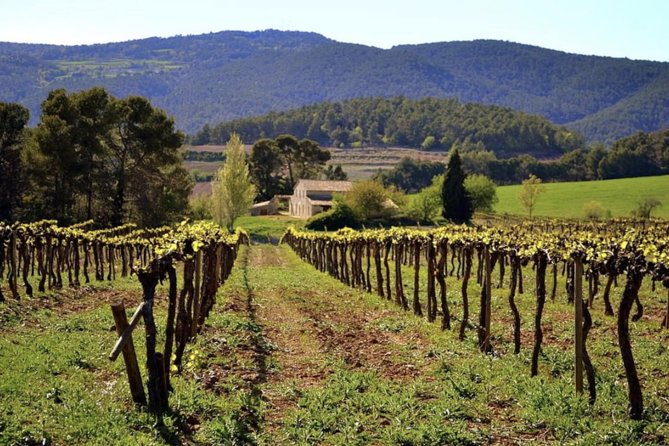 Private Montserrat Tour, Wine Taste & Local Lunch from Barcelona - Sant Sadurni d’Anoia lunch: cava, Catalan food, and a proper break