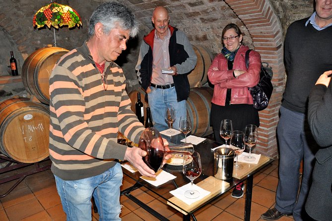 Private Priorat Tour with Wine Tastings & Lunch from Barcelona - Stop 2: Clos Figueras, Old Vines, and a 3-Course Lunch Pairing