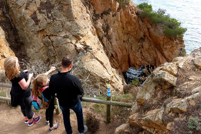 Private Tour: Costa Brava Hike from Barcelona - Palamos village stop: a quick taste, not a detour