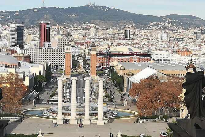 Private tour in Barcelona - How the private driver handles timing, parking, and mobility