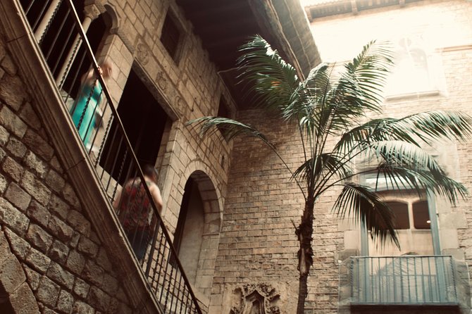 Private Tour of the Picasso Museum - A private 1.5-hour plan for the Museu Picasso
