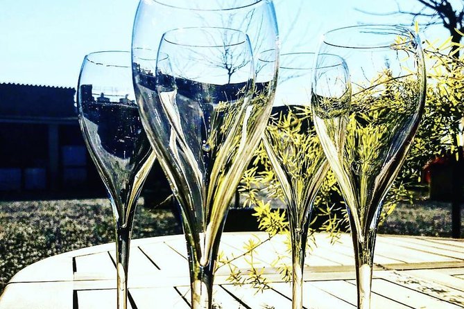 Private Tour: Top Three Organic Wineries & Local Lunch Included - Getting Out of Barcelona Smoothly (And Why That Matters)