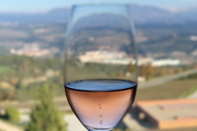Private Tour: Top Three Organic Wineries & Local Lunch Included - Organic Wine Here Is More Than a Buzzword