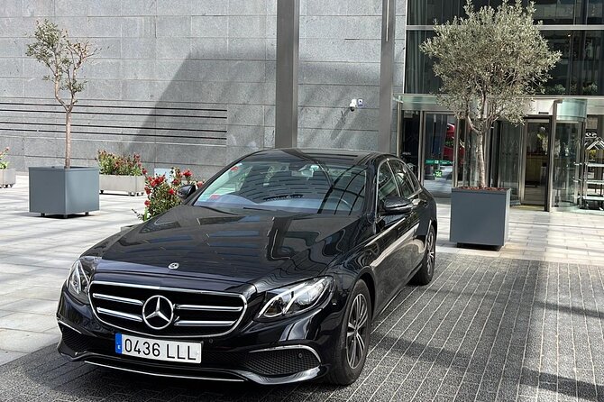 Private Transfer from Barcelona City to the Port (or vice versa) - The Driver, the Vehicle, and the Mobile Ticket Setup