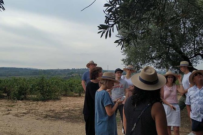 Private Wine & Cava Tasting Tour In Penedes with hotel pick up - Avinyonet del Penedès vineyard walk and the San Juan Salem church