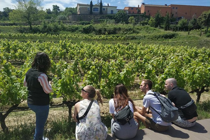 Private Wine & Cava Tasting Tour In Penedes with hotel pick up - How the 4 wines and 4 cavas shape your palate
