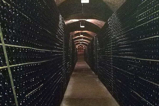 Private Wine & Cava Tasting Tour In Penedes with hotel pick up - Private tour reality check, and how to keep it truly yours